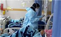 موج آنفلوآنزا بالاتر از حد هشدار/آمار فوتی ها